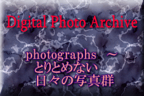 Digital Photo Archive.gif